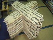 CATBTOL2s.jpgのサムネール画像