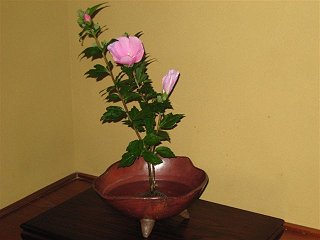 20100801.jpg