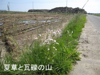 20110701-3.JPG