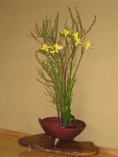 20120221.jpg