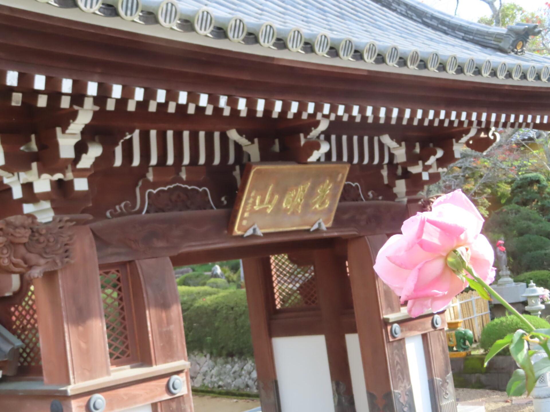 2024年10月1日 (火) 画像