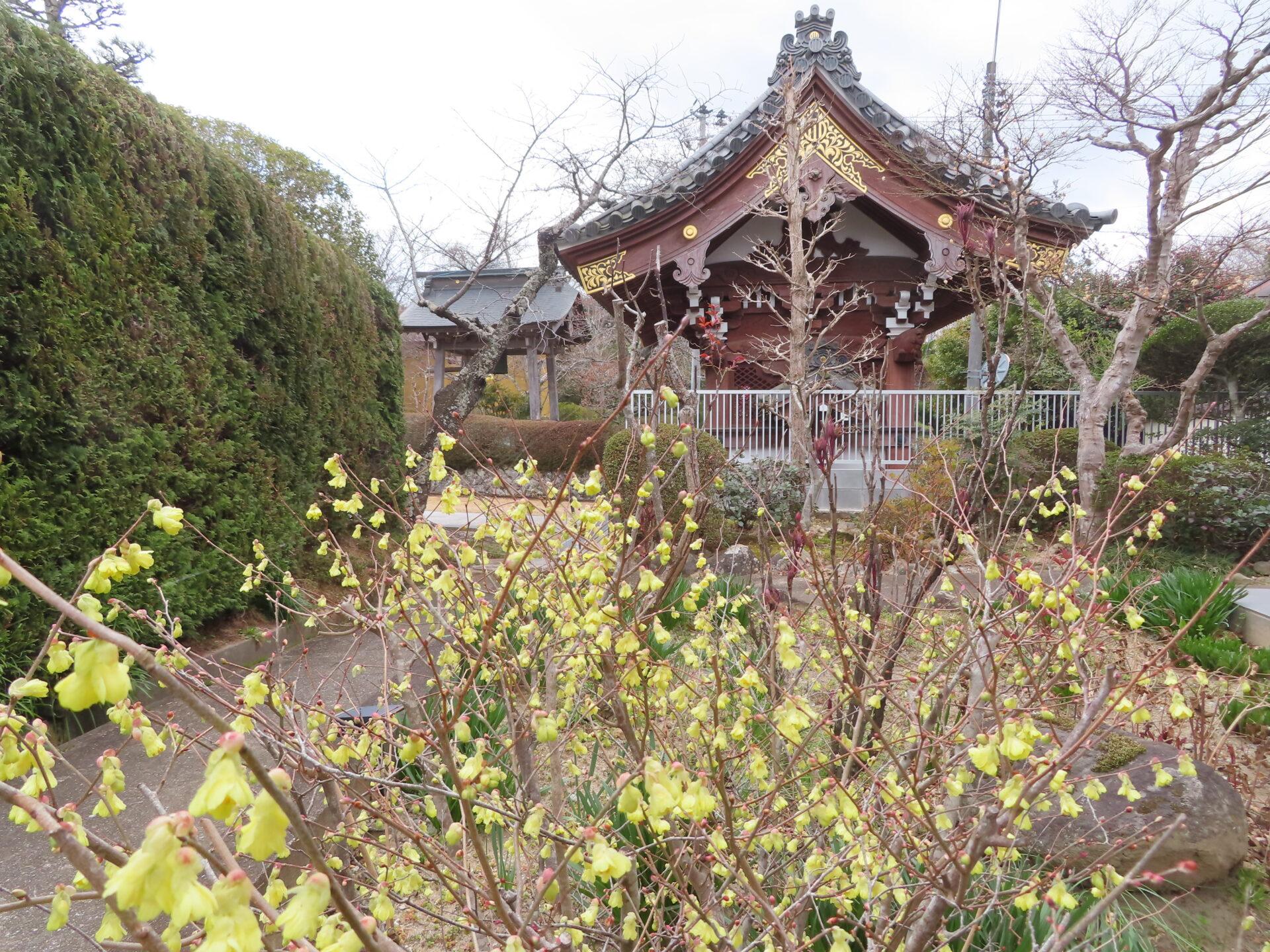 2025年4月1日 (火) 画像