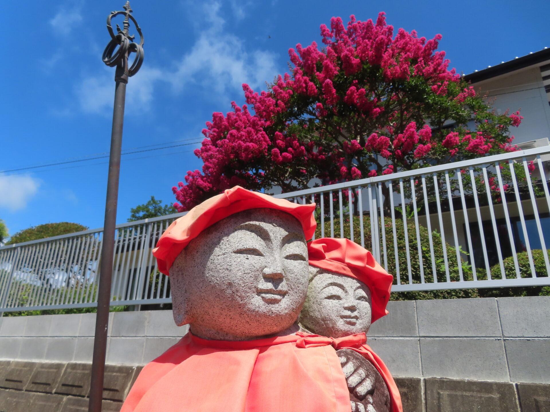 2025年8月1日 (金) 画像