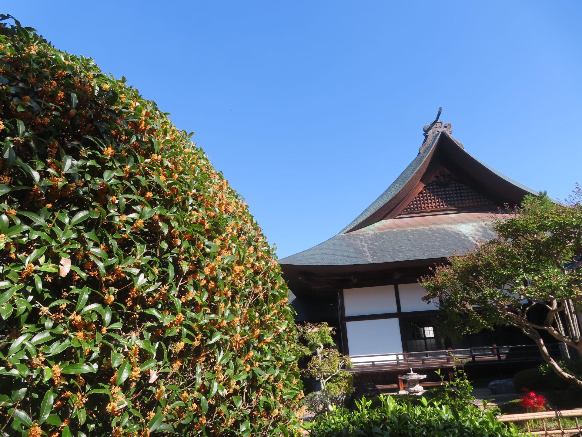 2025年9月1日 (月) 画像