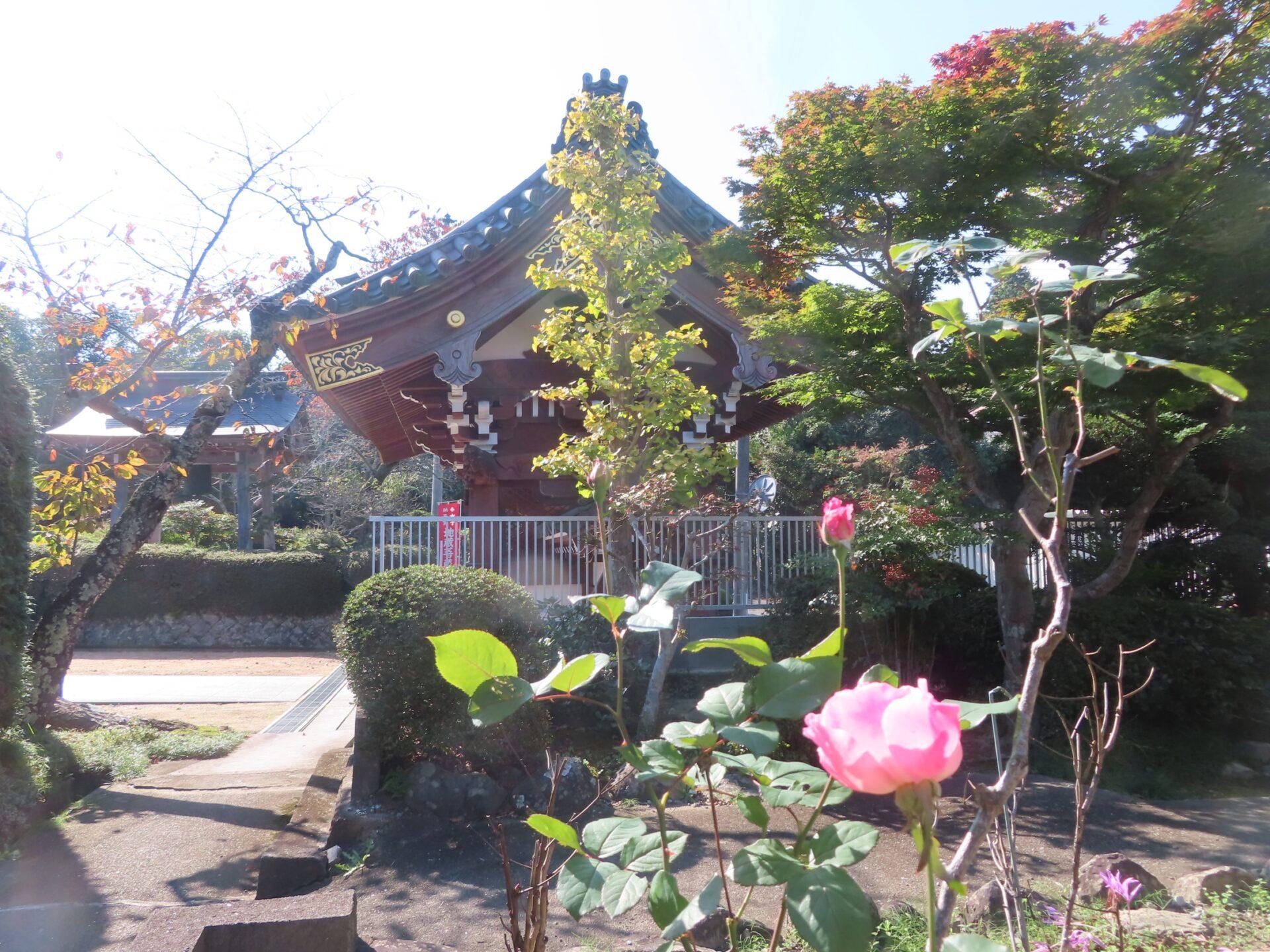 2025年11月1日 (土) 画像