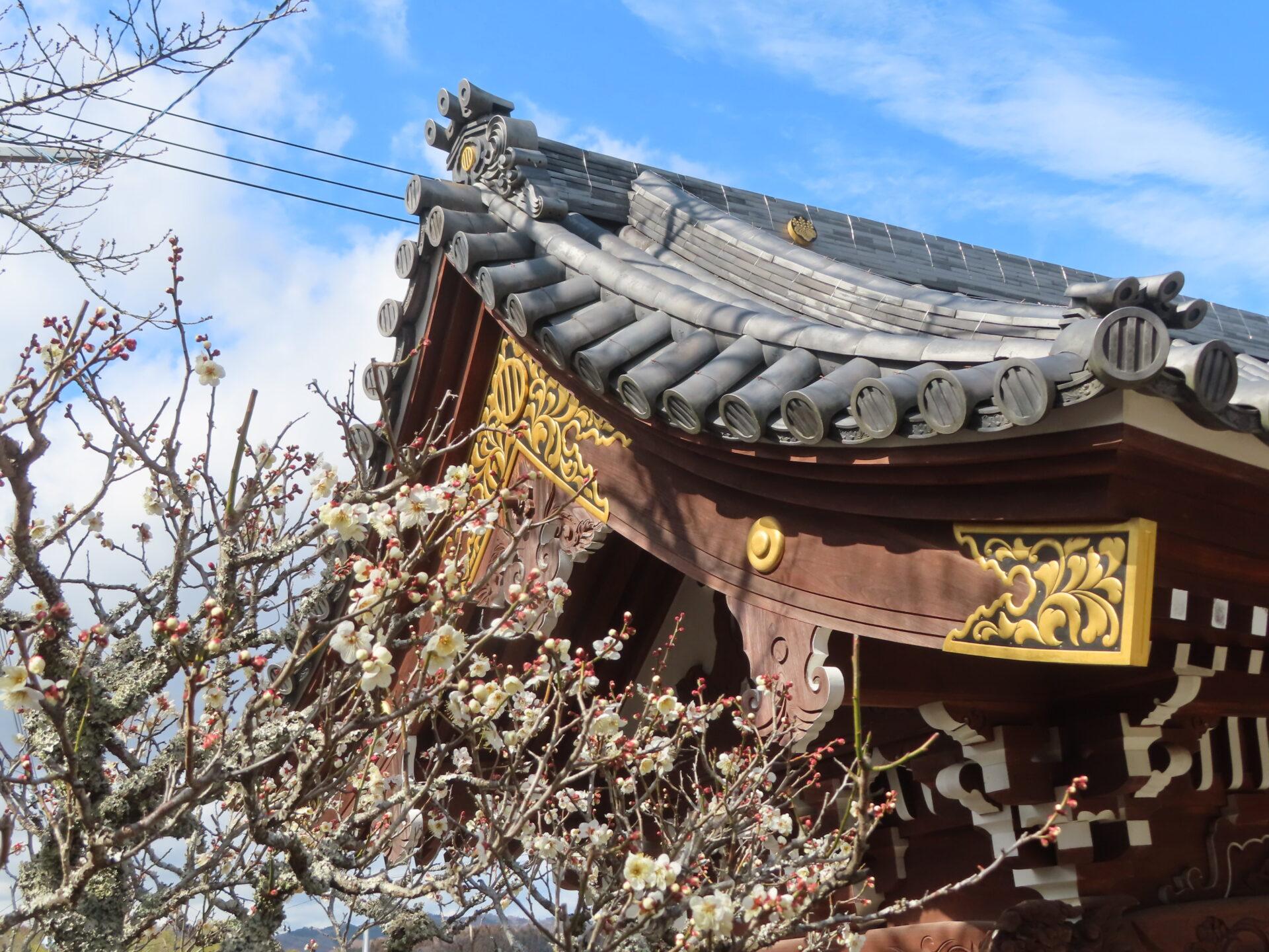 2026年3月1日 (日) 画像